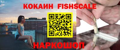 стаф Кулебаки
