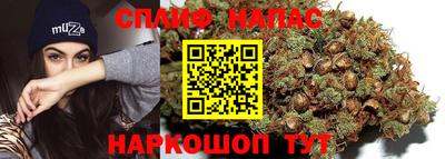 стаф Кулебаки