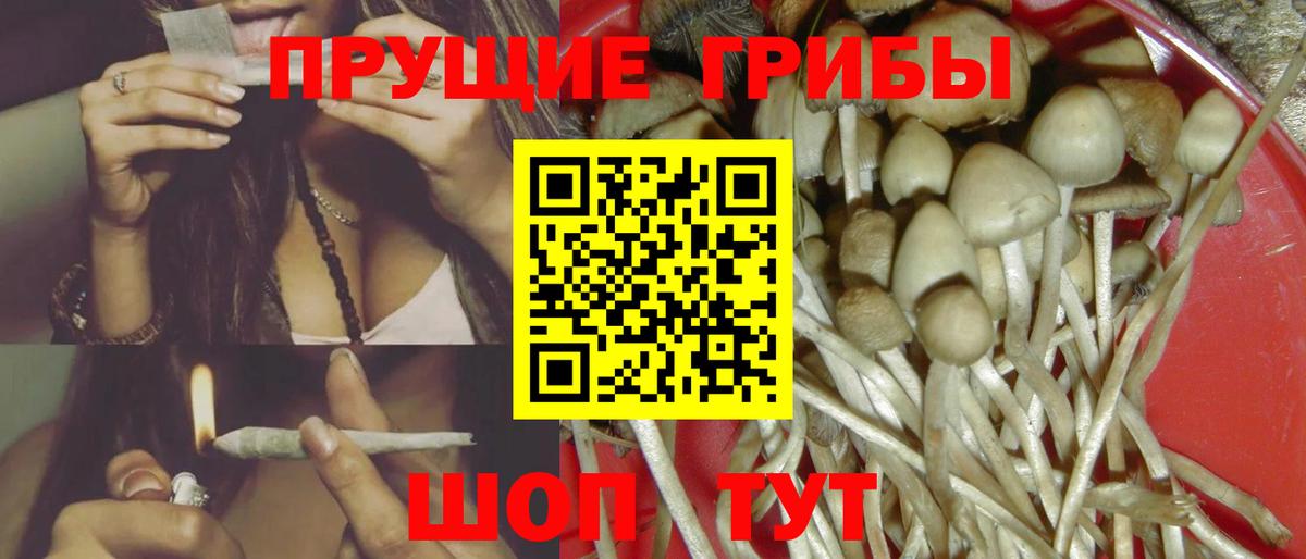 Псилоцибиновые грибы Psilocybe  Галлюциногенные грибы MAGIC MUSHROOMS  Вход с VPN  магазин    Егорьевск 